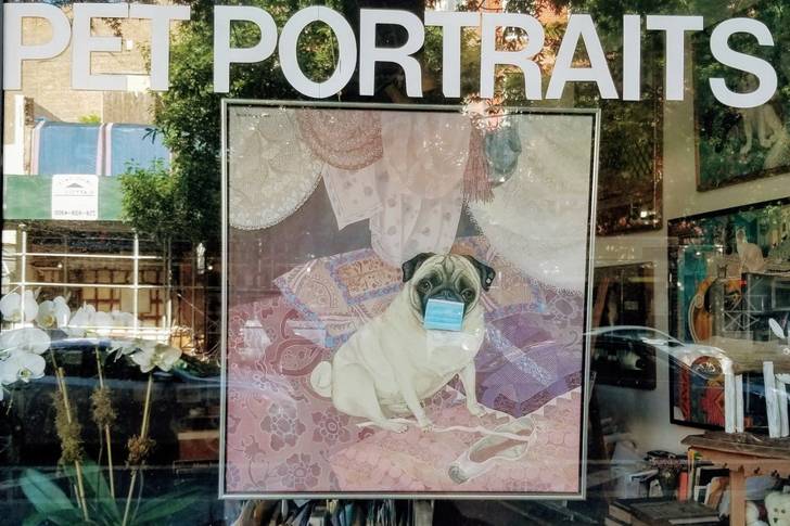 A photo of a store selling Pet Portraits